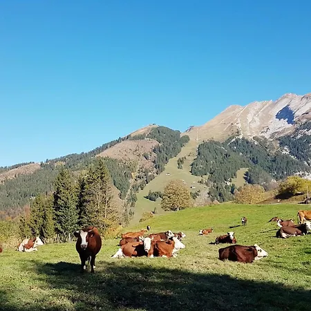 Des Joux シャレー